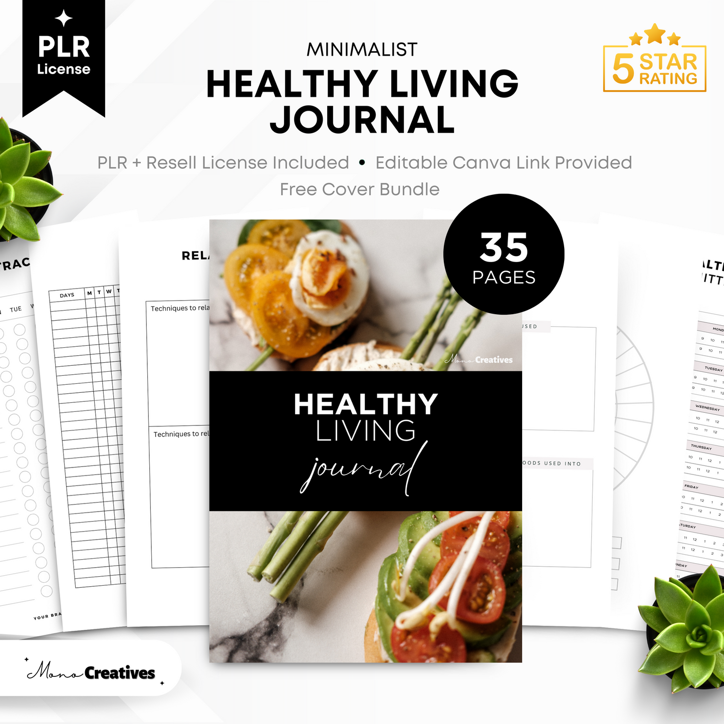 Healthy Living Journal (PLR)