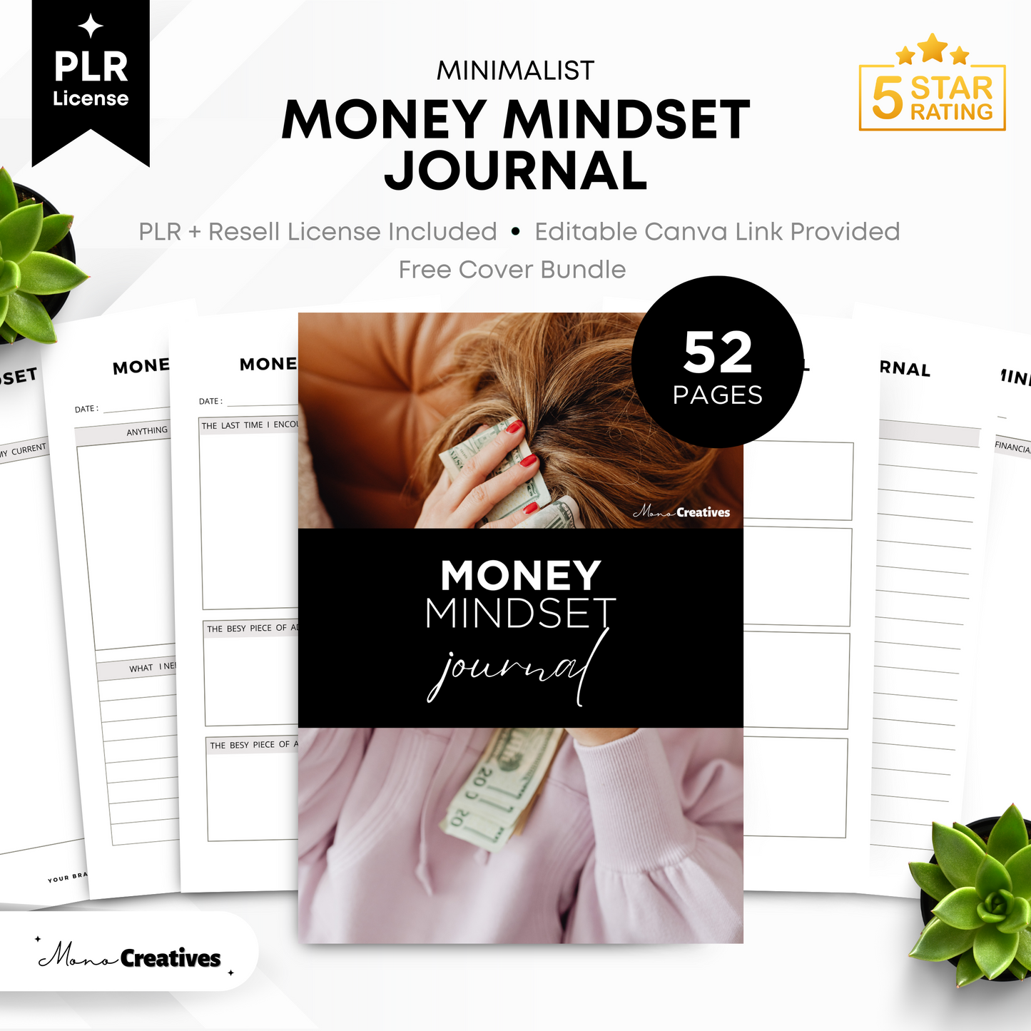 Money Mindset Journal (PLR)