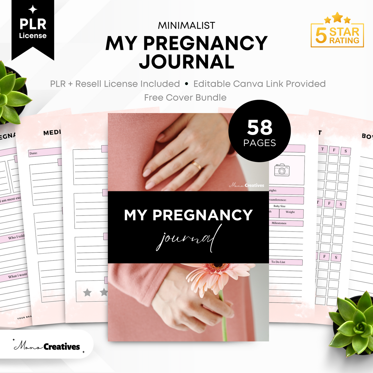 My Pregnancy Journal (PLR)