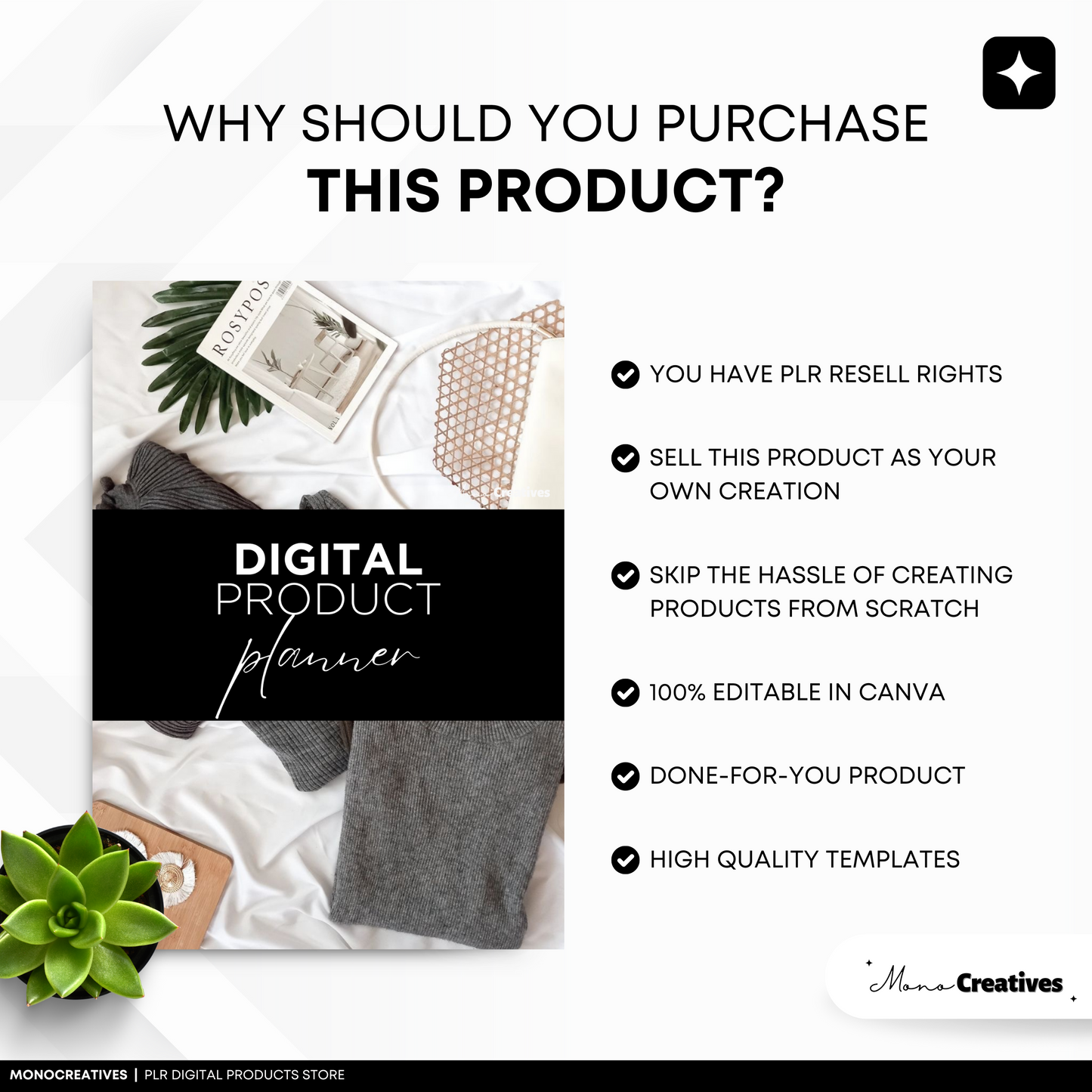 Digital Product Planner (PLR)