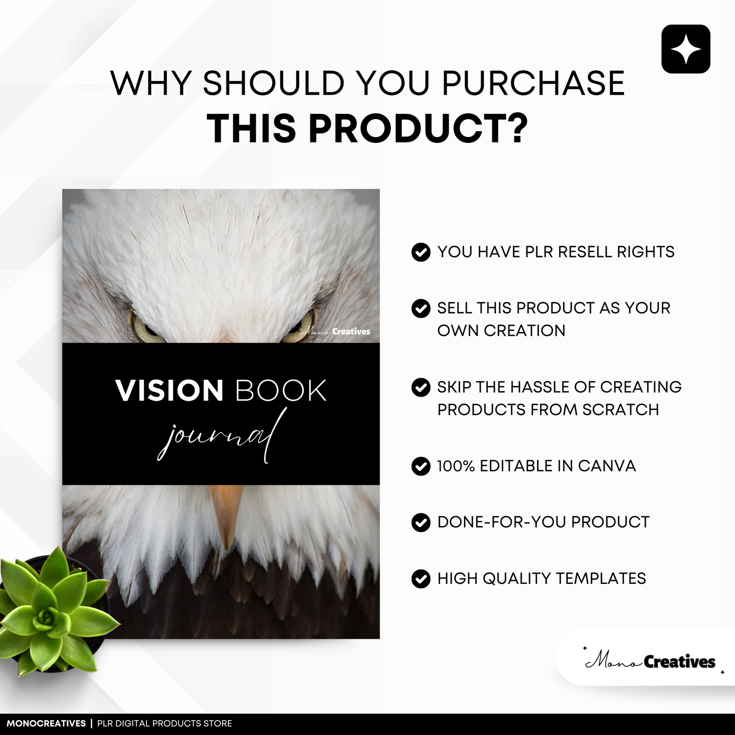 Vision Book Journal (PLR)