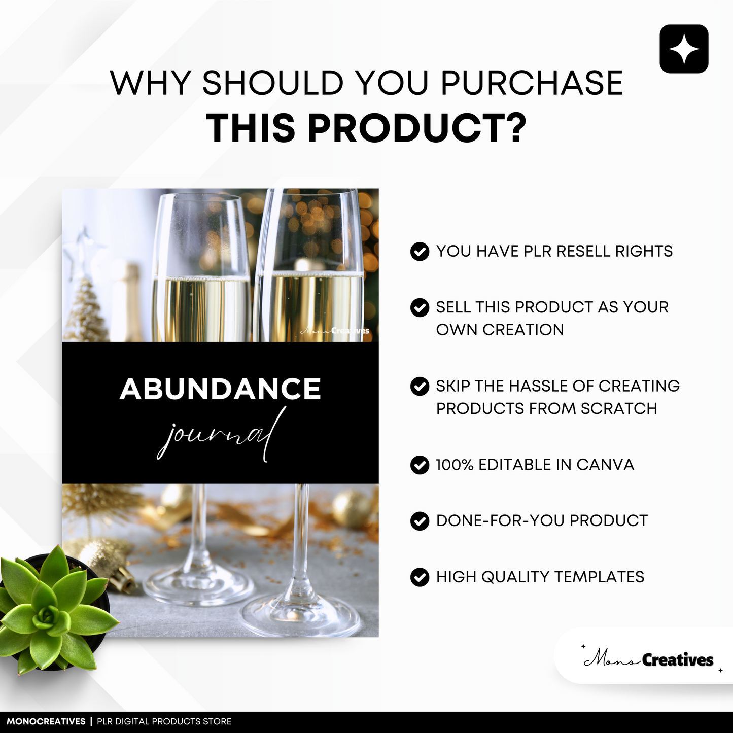 Abundance Journal (PLR)