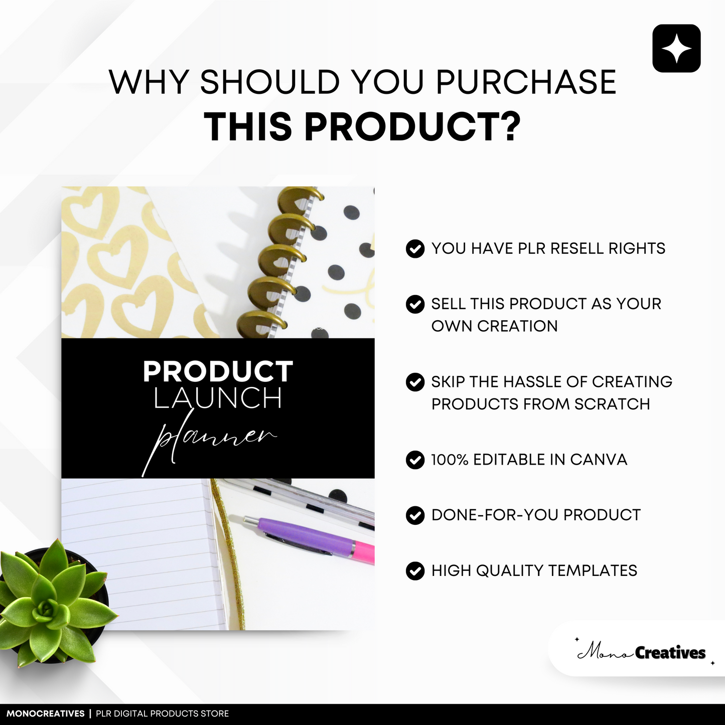 Product Launch Planner (PLR)